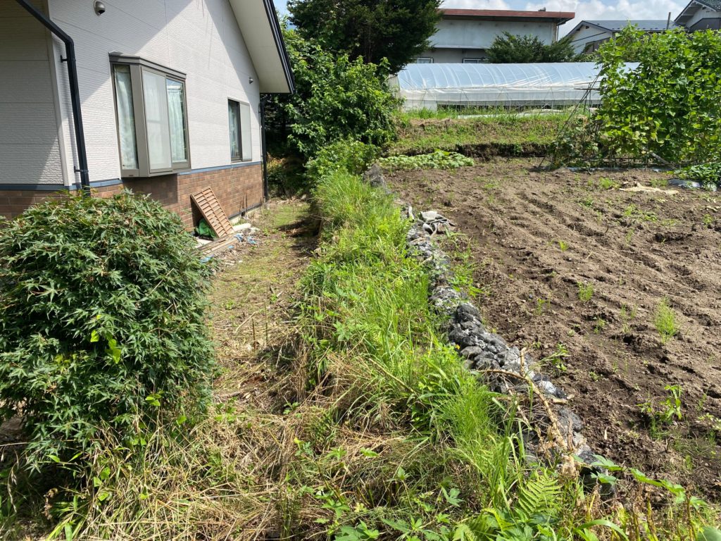 フリーガーデン　