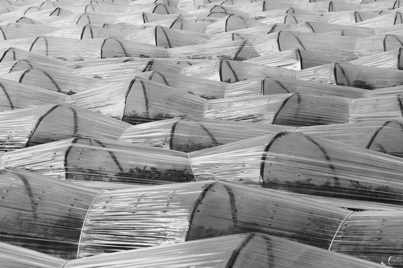 プラスチックフィルム